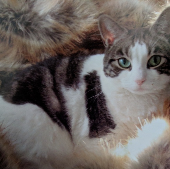 Meet your Posher, Alexandra - Picture 2 of 4